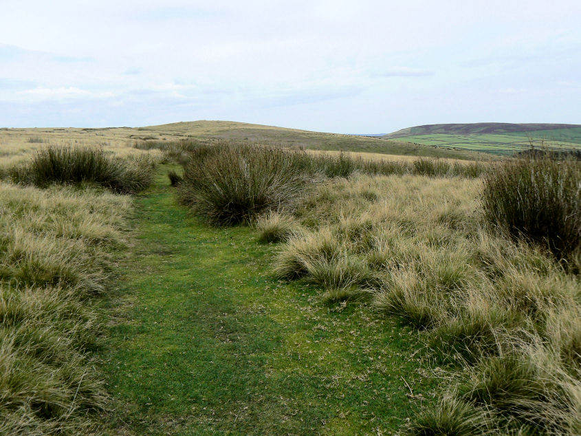 Abney Moor Abney Moor